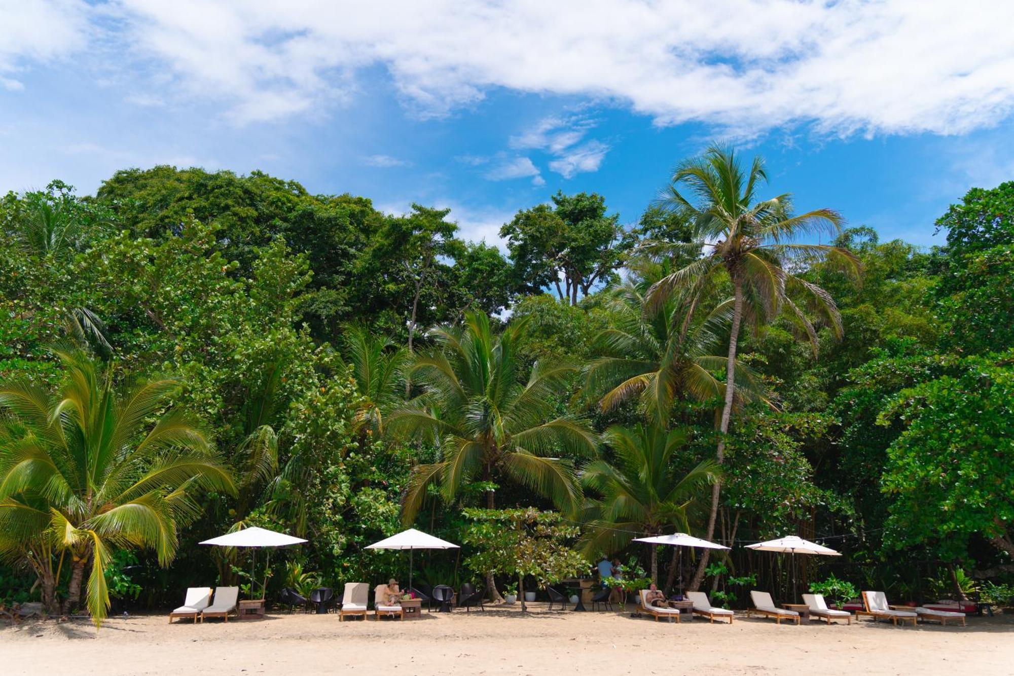 Awa Beach Hotel Puerto Viejo de Talamanca Buitenkant foto